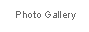 Photo Gallery